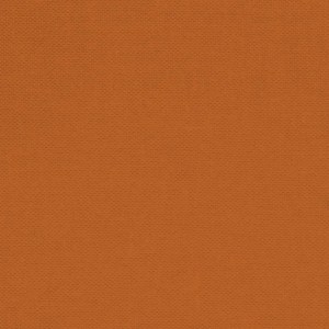 Devonstone Red Fox